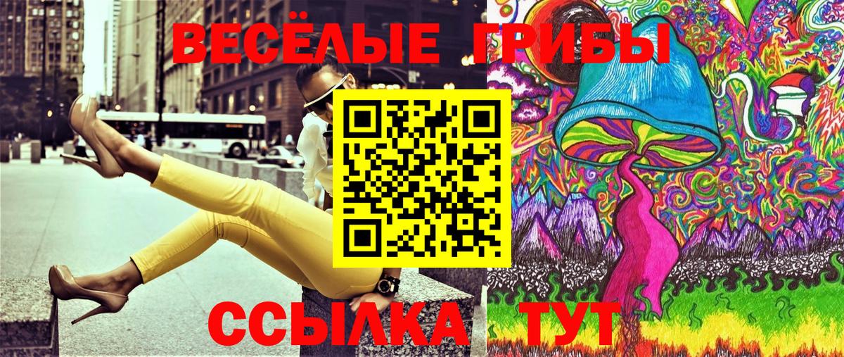 Волжский  Псилоцибиновые грибы MAGIC MUSHROOMS  Вход с VPN 